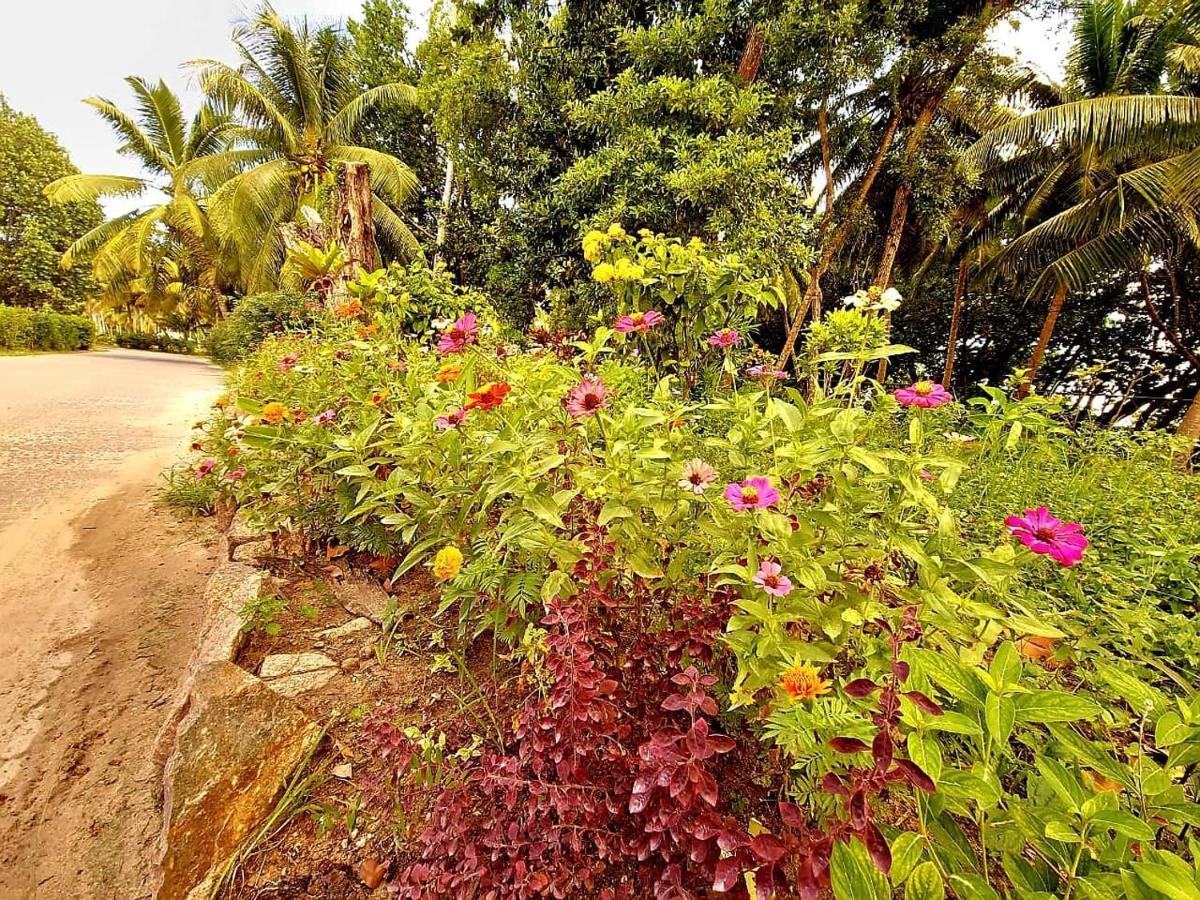 Le Nid De Bea Self-Catering Apartments La Digue Exterior photo